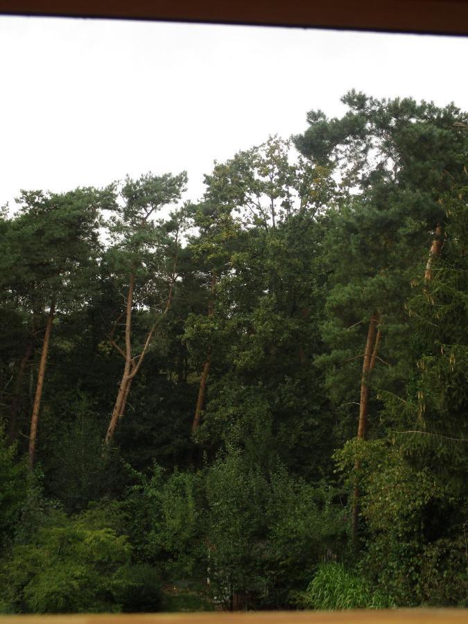 De Loteling Zoersel Ngoại thất bức ảnh